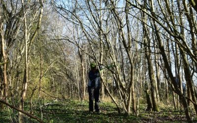 Butterfly Wildlife Group Update January 2022