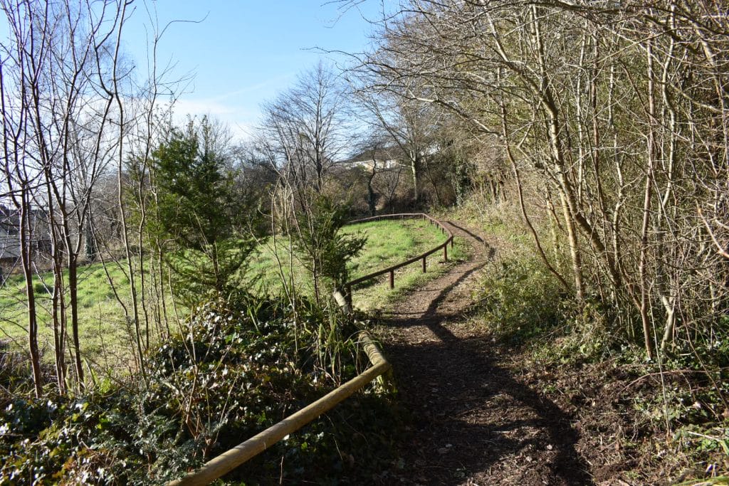 Path around the meadow