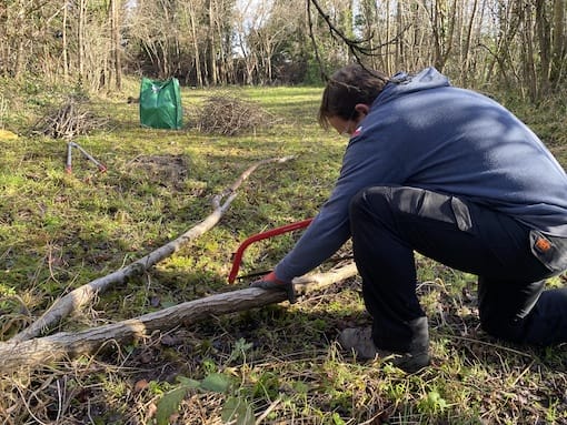 Sawing up a log