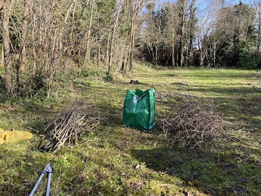 Preparing wood for dead hedging