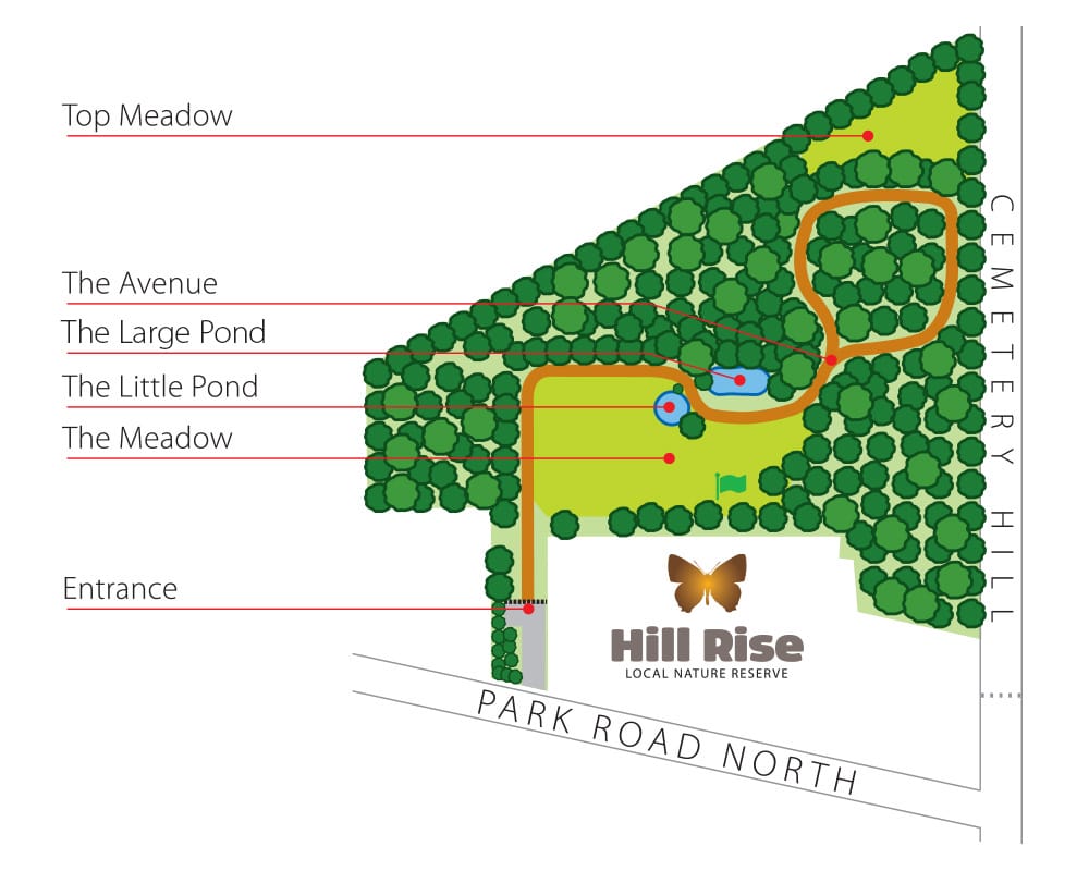 Hill Rise Map