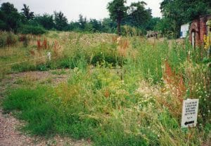 Hill Rise November 1990