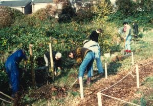 Tree Planting 1992