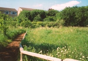 Main Path and Meadow 1993