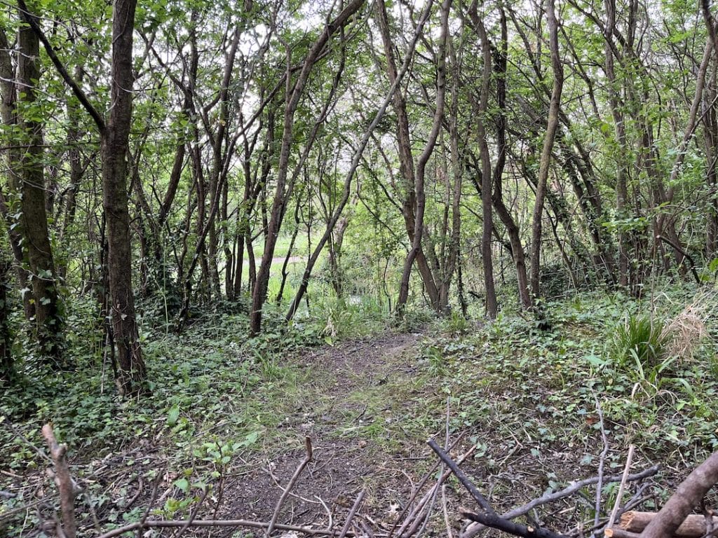 Across the large pond - May