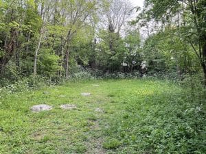 The top meadow - May